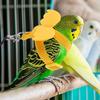 Kleiner und leichter Papageien-Fluggeschirr, geeignet für Unzertrennliche und Sonnenvögel sowie Vogelspaziergänger für die Freilassung von Vögeln im Freien.