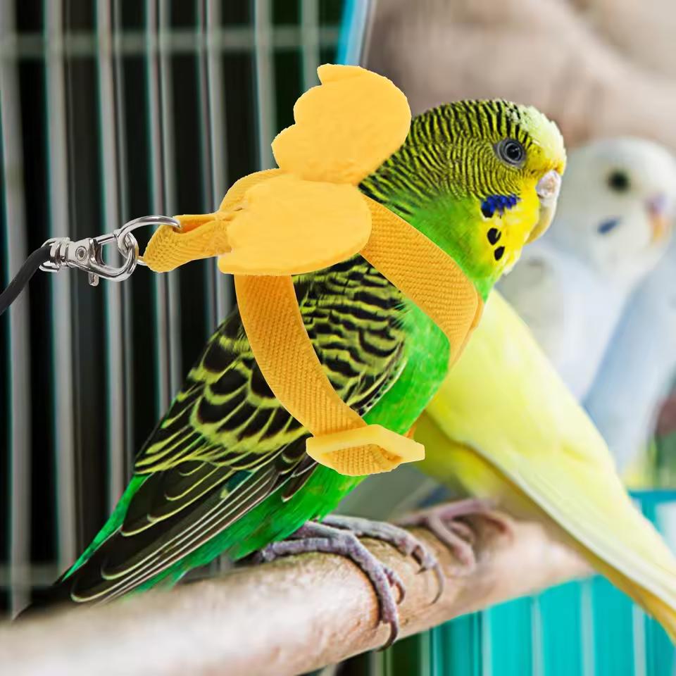 Kleiner und leichter Papageien-Fluggeschirr, geeignet für Unzertrennliche und Sonnenvögel sowie Vogelspaziergänger für die Freilassung von Vögeln im Freien.