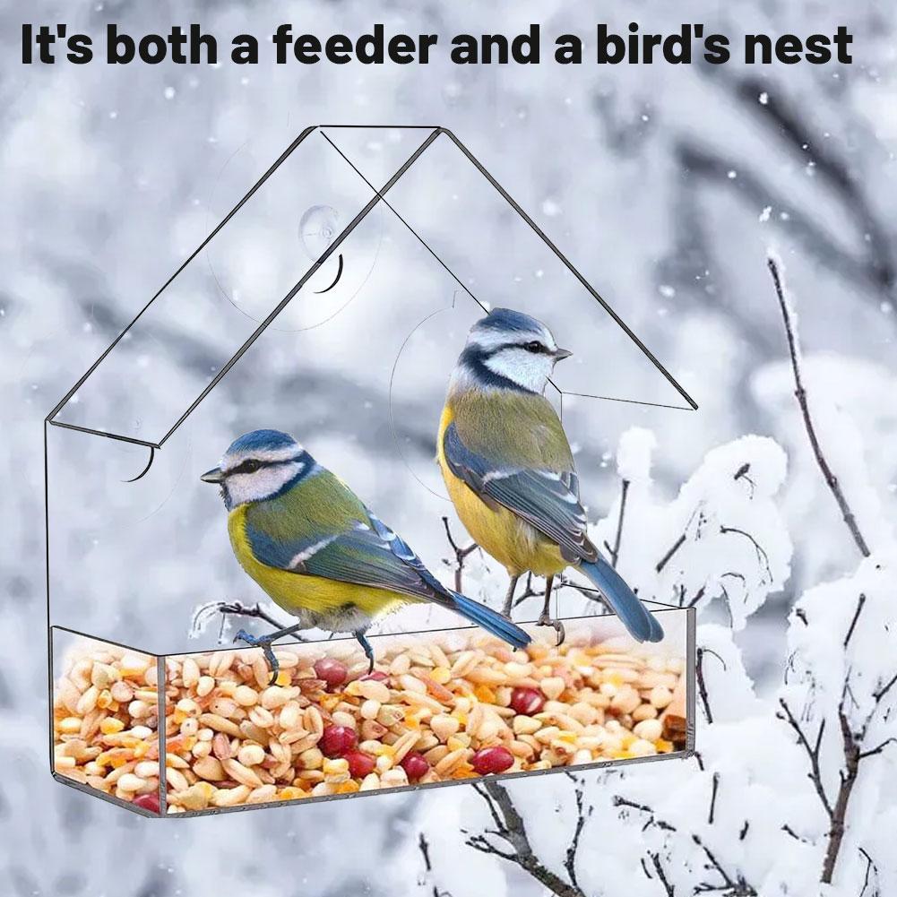 Acrylic Bird Feeder Clear Window Outside Hanging Bird Feeder House with Suction Cup for Garden Outdoor Backyard Wildlife Birding