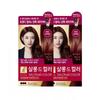 Elastine Salon De Color Hair Dye Wine Brown 100g X 2