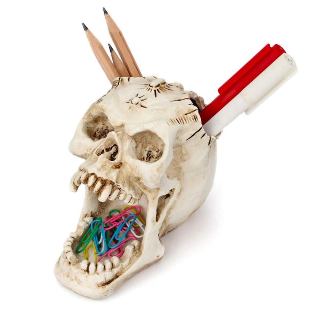 Queen-b Skull Pen Stand, Desk Organizer, Decorative Skull, Realistic Skeleton, Skull, Stylish Ornament (White)