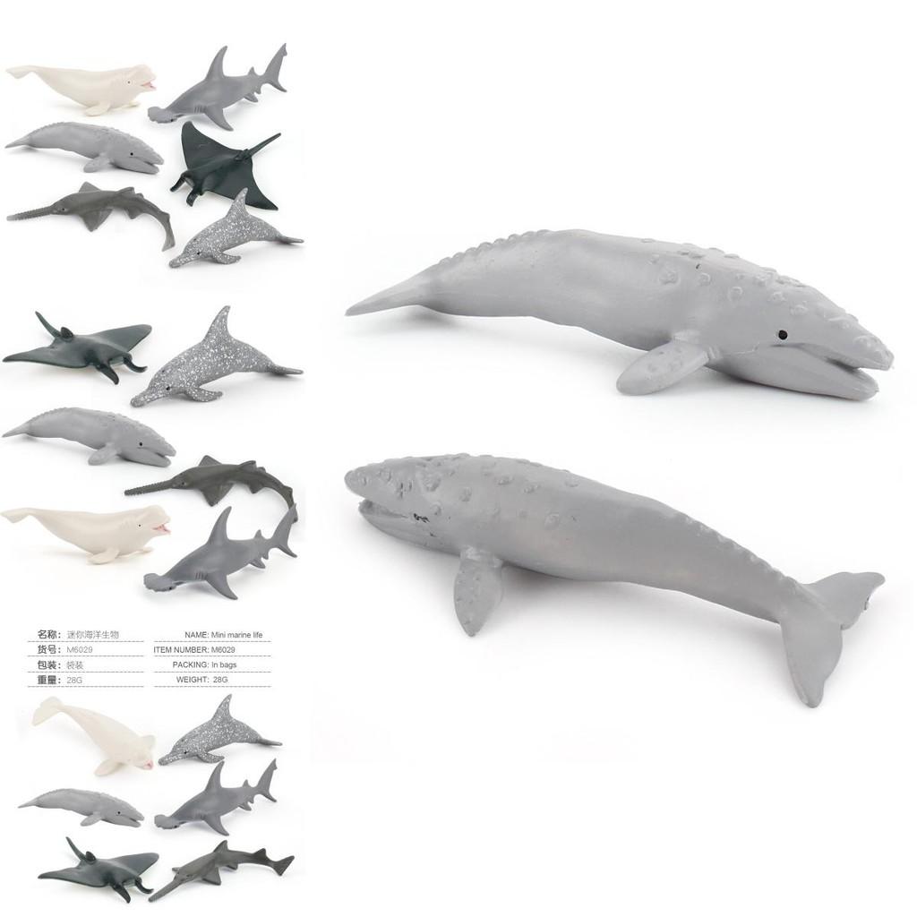 Pvc Ocean Life Dolphin Devil Fish Beluga Shark Realistic Model Collectible Display Figurine