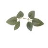 Direct Sales Simulated Leaf Silk Screen Printing Rose One-Piece Six-Leaf Green Plant Accessories Bundle Wall Decoration