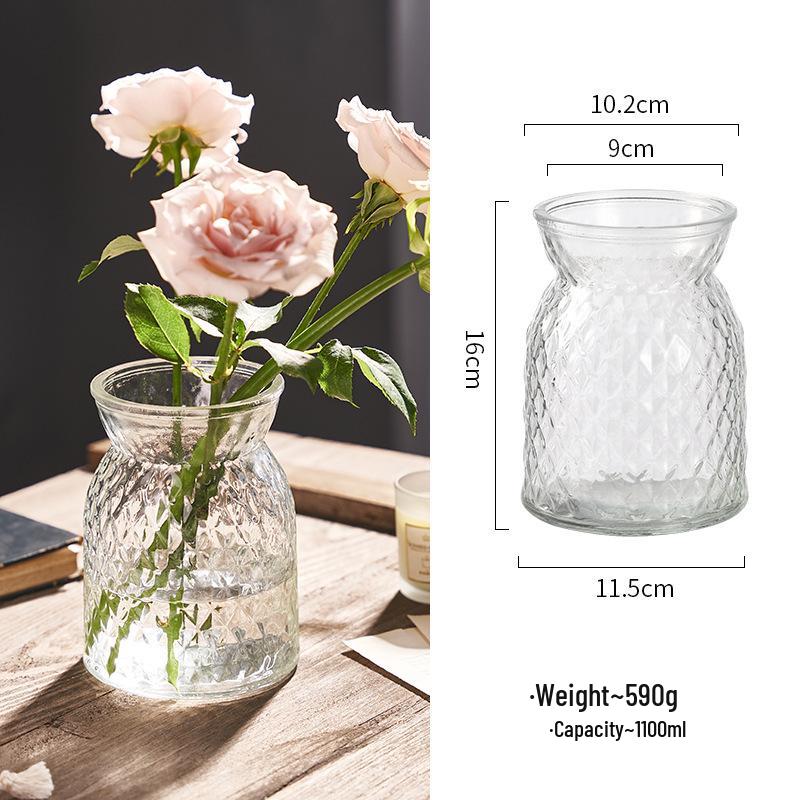 Nordic Cone-Shaped Transparent Glass Vase for Lucky Bamboo and Flowers