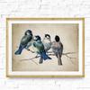 Decorazioni per la Casa Vintage Pittura su Tela Uccelli Stampe d'Arte da Parete Poster e Stampe Retrò per Camera da Letto Decorazioni per la Casa