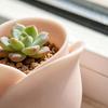 3D Printed Rose Shaped Planter Mini Flower Pot for Succulents Herbs Small Plants Cute Tiny Cactus Pot for Office Home Desktop Windowsill Garden Decor