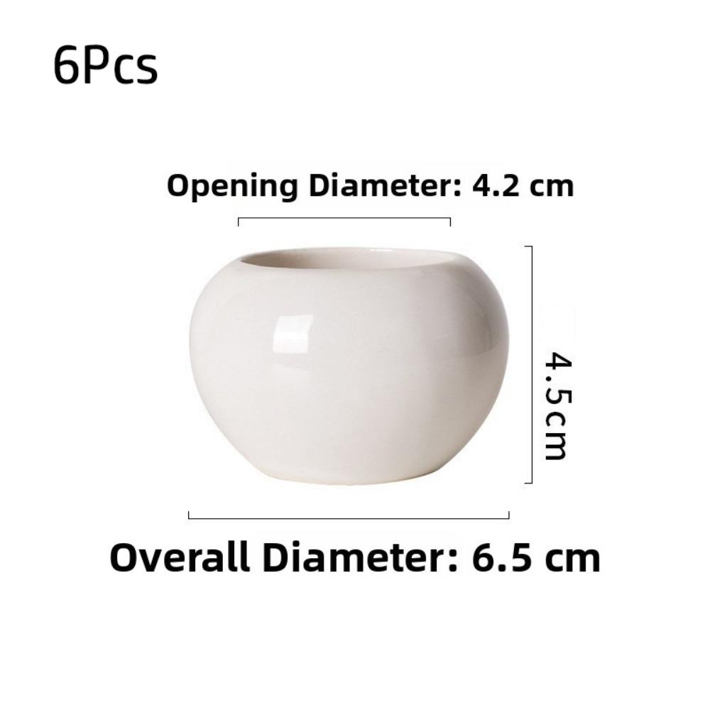 

6Pcs White Succulent Flower Pot Round Shape Ceramic Pot New Plant Potted Indoor Plants S-White