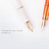 0.5mm Fashion Exquisite Fountain Pen Delicate Stationery Pen School Office Supplies