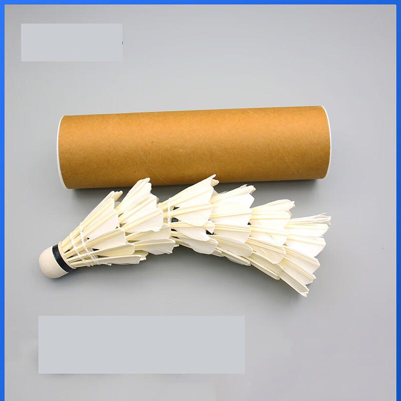 Xulin Nylon Training Badminton Shuttlecocks - 12 Pack