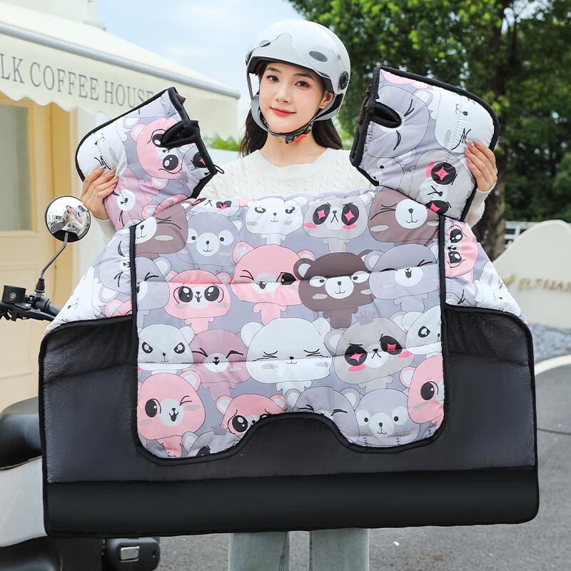 DUTRIEUX Winter Electric Scooter Windshield Cover