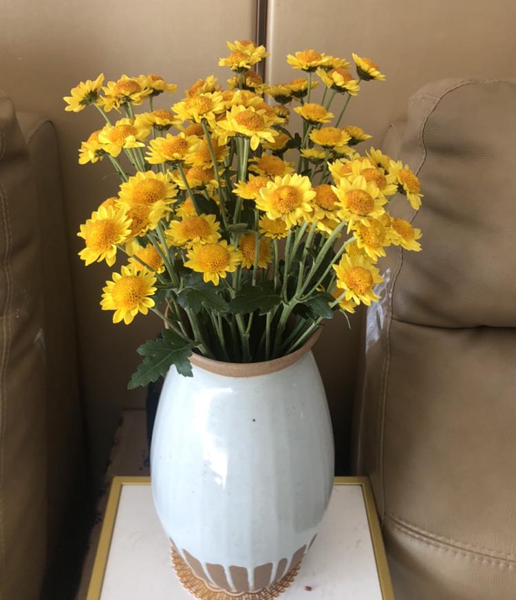 Modern Minimalist Ceramic Vase for Creative Floral Displays