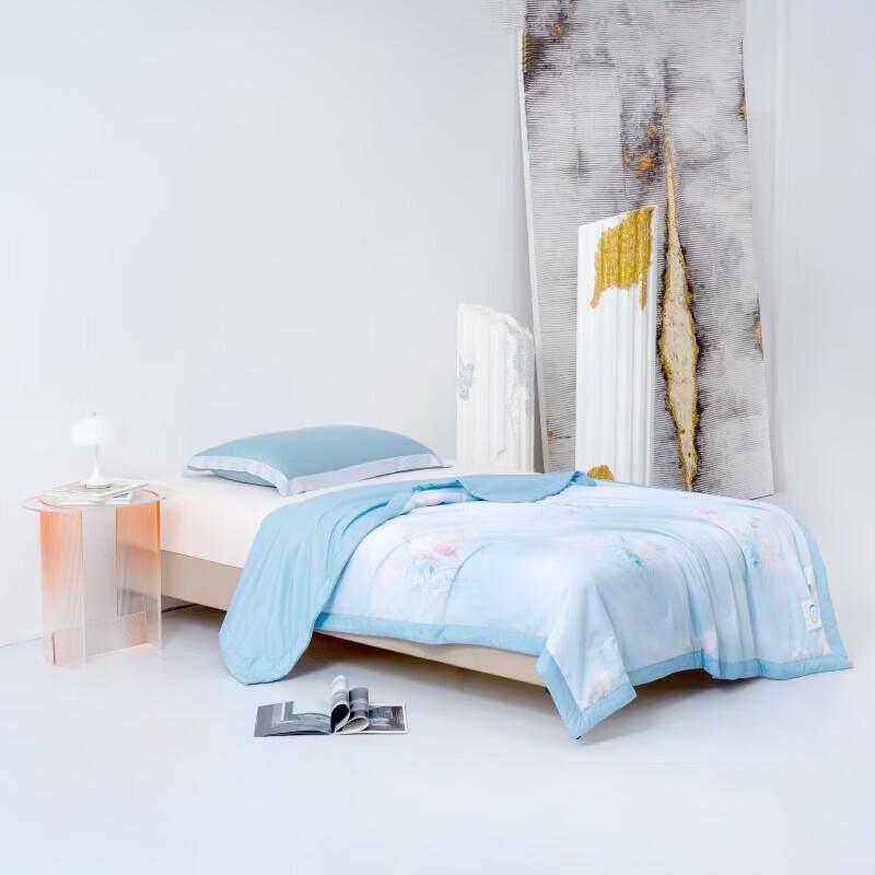 Mercury Home Textiles Soft Light Whisper Washable Tussah Silk Quilt