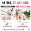 Reflective Dog Vest Harness Leash Set Soft Adjustable No Pull Pet Puppy Chest Strap for Small Medium Dogs Cats Pug Daily Walking