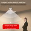 OEING Motion Sensor LED Ceiling Light