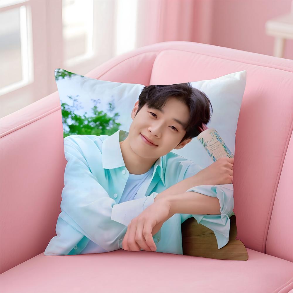 Talented Korean Actor CChoi Wooshik Cushion Cover Pillowcase Short Plush Invisible Zipper Room Sofa Cushion Cover