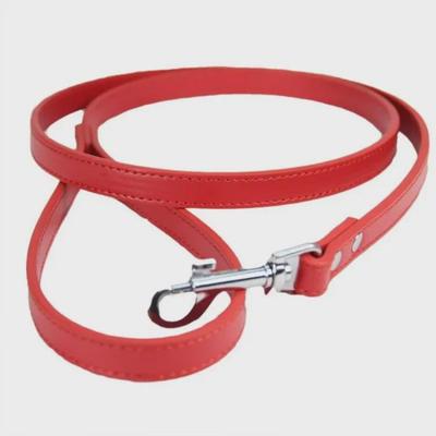 Spot Animal Domestique Laisse pour Chien en Cuir PU et Harnais pour Chat