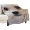 Maltipoo Sweetheart with Long Silky White Hair. Throw Blanket Sofa Bed Blankets For Bed Moving Warm Blankets