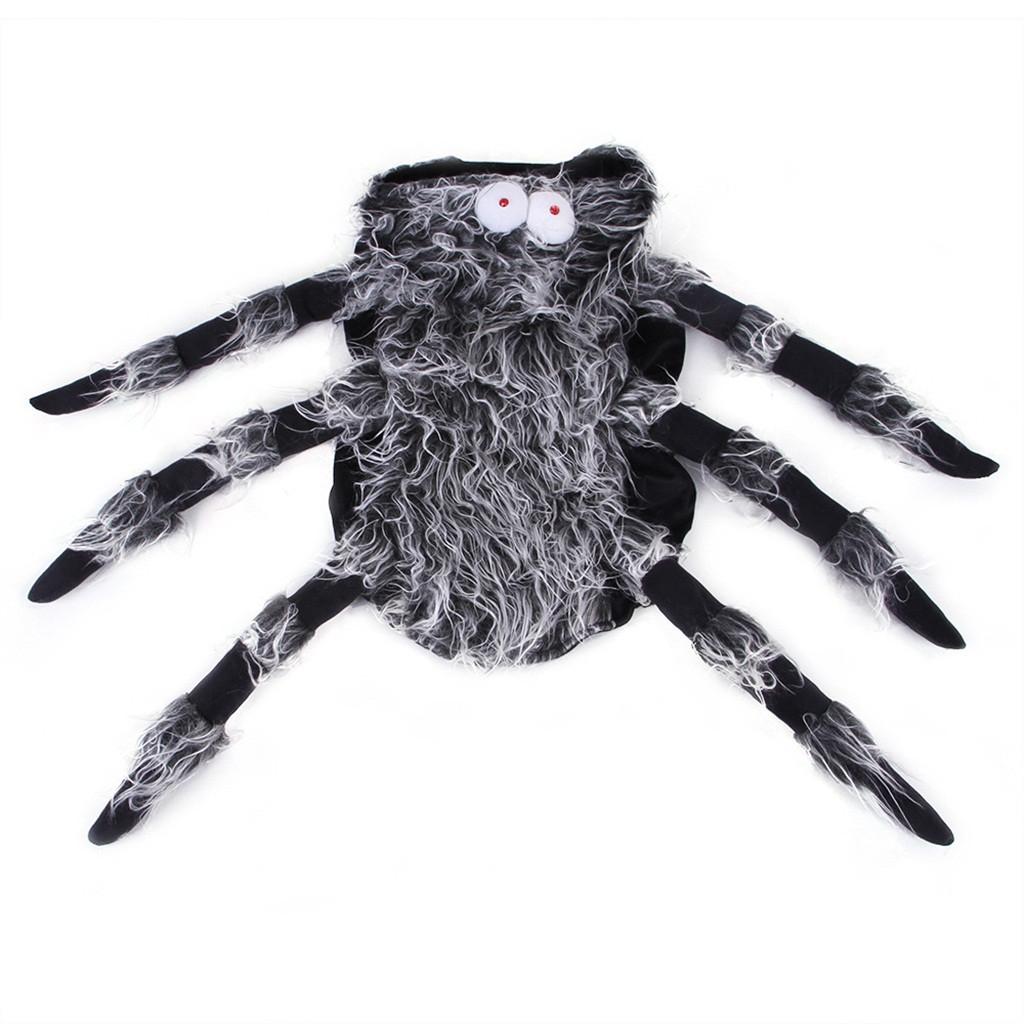 Amanda Pet Halloween Christmas Chest Back Creative Cat Dog Small Dog Spider Costume