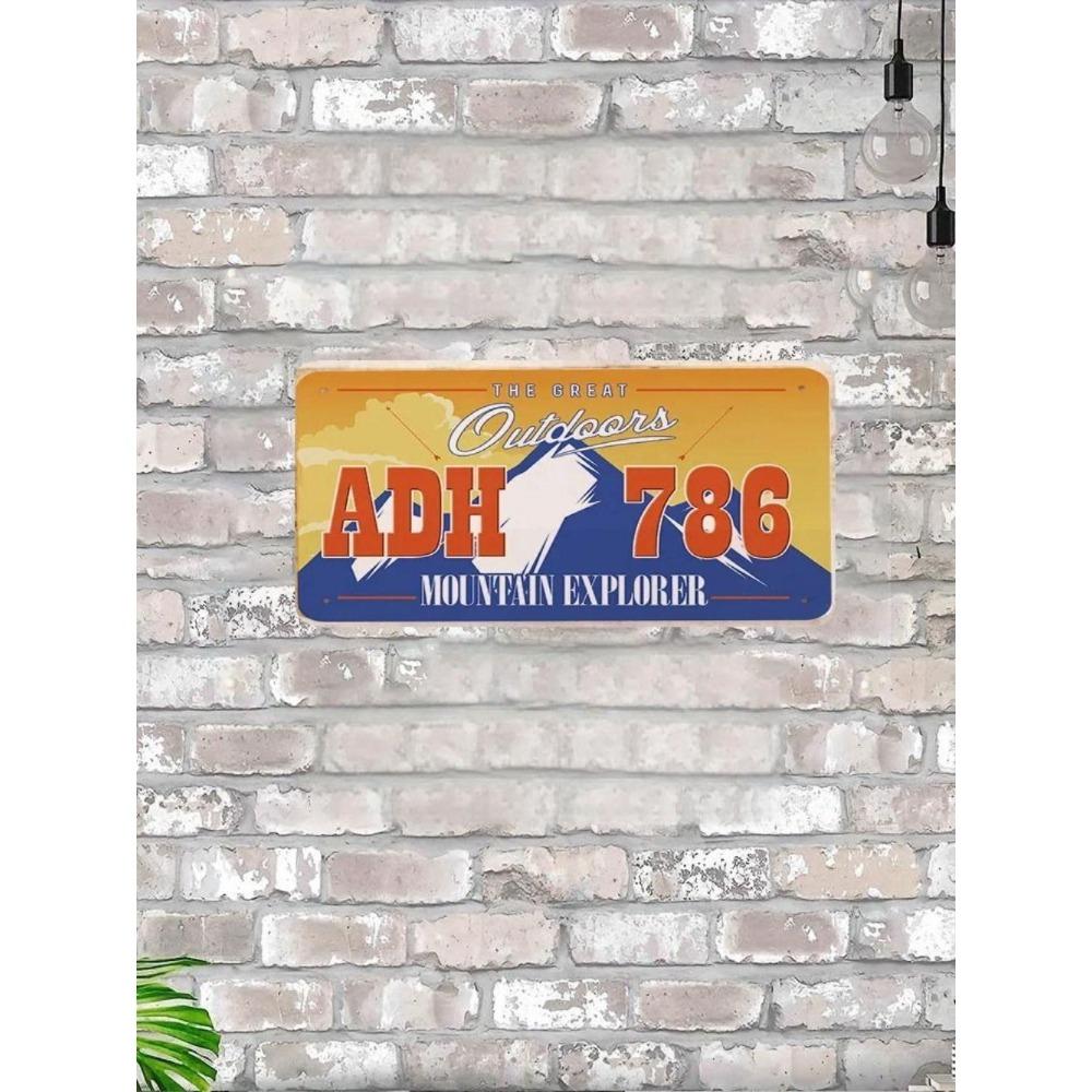 NÁS. registrační značka, USA. SPZ, kovová, 15x30 cm.