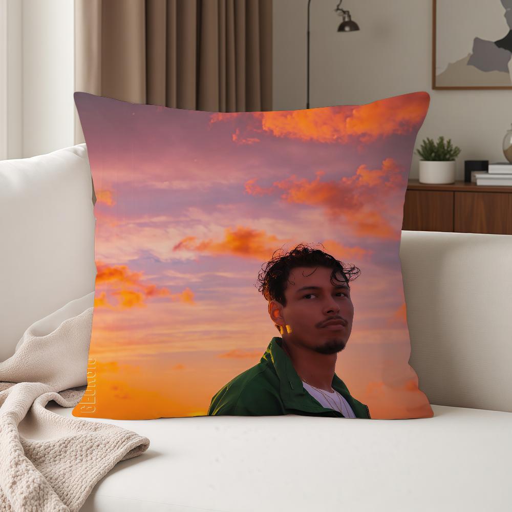 Singer GGeorgio Gloria Pillow Case Suitable For Bedrooms Living Rooms Cars Home Decoration