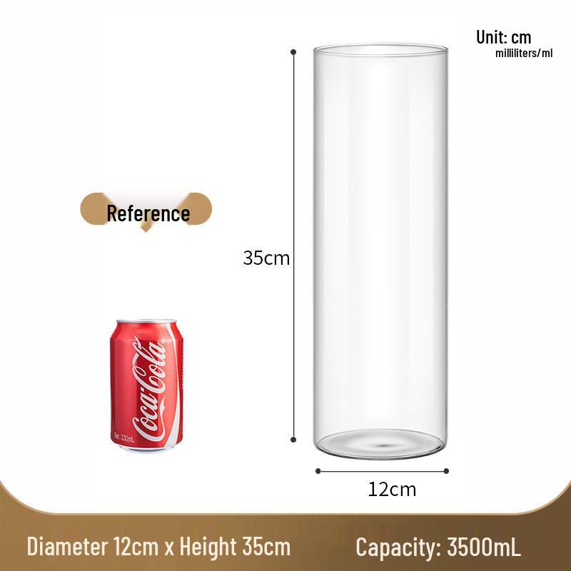 Straight Cylinder Glass Vase for Pothos and Hydroponic Decor
