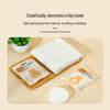 Spring Bear Compressed Travel Towels