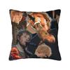Ed Sheeran Loop Tour 2026 Pillow Covers Merch Printed Cushion Cover Gift  Pillow Case Cover Home Multi-Size