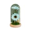 Simulation Sunflower New Sunflower Night Light Ornament Glass Cover Creative Mother's Day Valentine's Day Gift