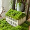 Faux Moss 300g Artificial Green Plants Moss Grass Home Living Room Garden Decoration Mini Landscape Fake Flower DIY Crafts