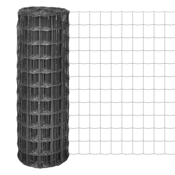 VidaXL Clôture euro Acier 10 x 0,8 m Gris