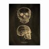 Anatomical Skeleton Chalkboard Poster Kraft Paper Posters DIY Vintage Home Room Medicine Student Decor Medical Art Wall Painting