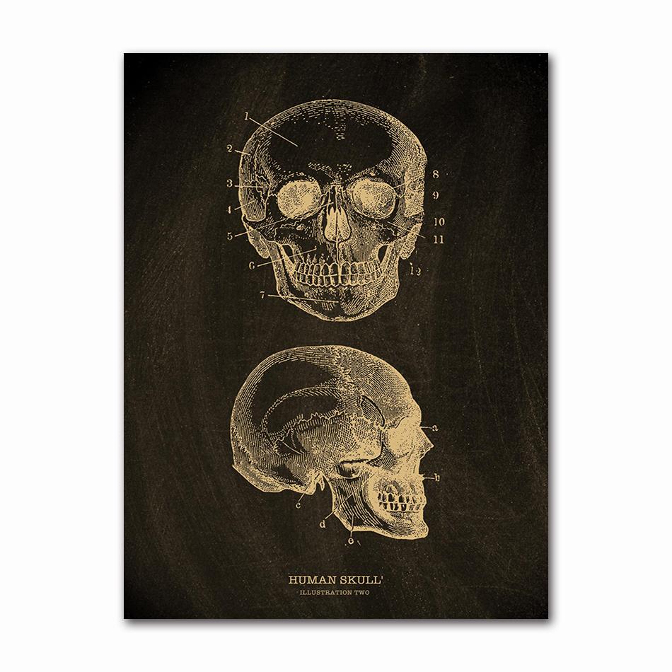 Anatomical Skeleton Chalkboard Poster Kraft Paper Posters DIY Vintage Home Room Medicine Student Decor Medical Art Wall Painting
