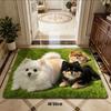 3D Printed Pomeranian Dog Mat Absorbent Animal Shaped Carpet Cute Diatom Mud Mat  Home Floor Decor