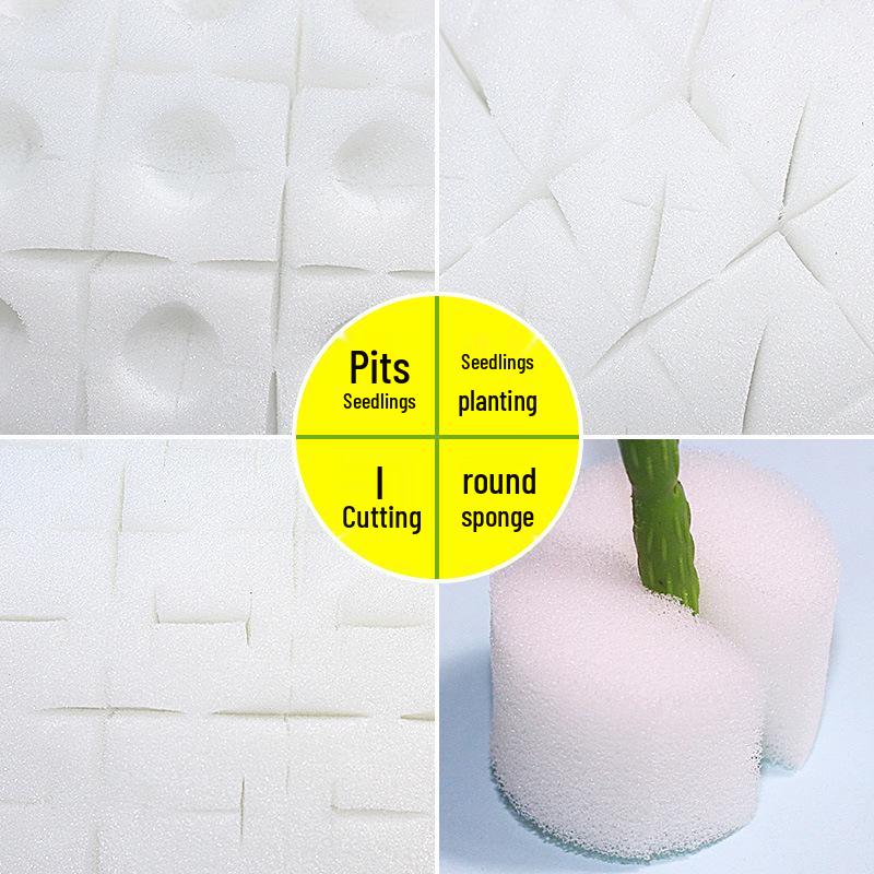 Hydroponic I-Shaped Polyurethane Sponge for Soilless Cotton Seedlings and Vegetables.
