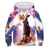 Boys Girls Cute Cat 3D Print Hoodie Children Hooded Pullover Sweatshirt Fashion Child Hoodies Kids Casual Tops Clothing
