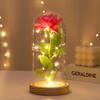 Preserved Rose Glass Dome Gift for Valentine's and Women's Day