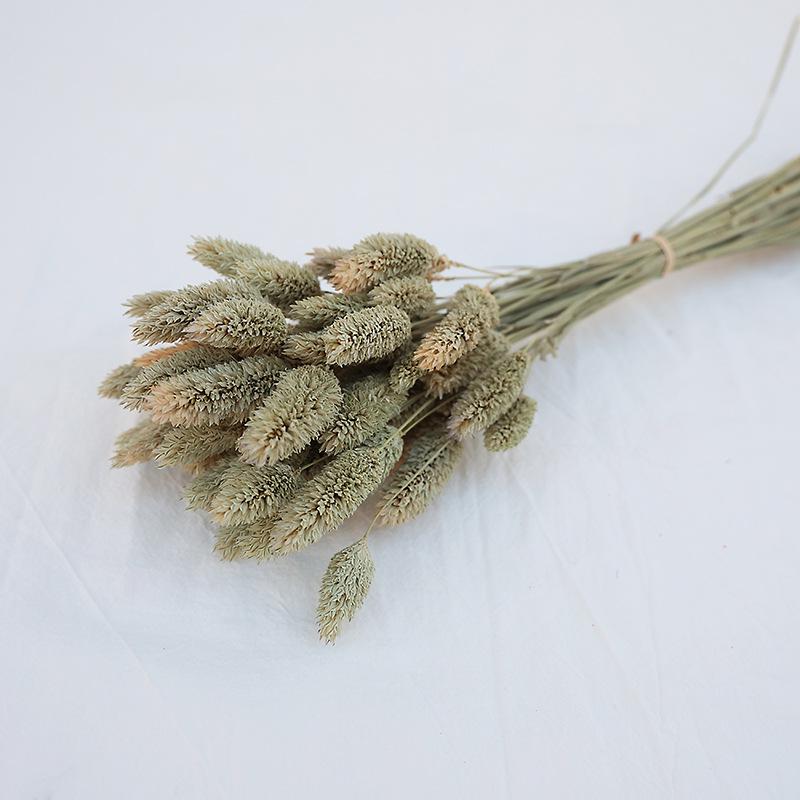 Natural Dried Statice Flower Bouquet - Everlasting Decoration for Vase & DIY Arrangements