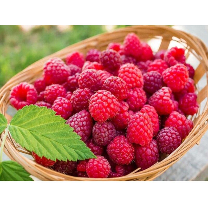 5D Fruit Diamond Painting Full Round Drill Diamond Embroidery Cross Stitch Full Set Crystal Mosaic Diamond Kitchen Decor