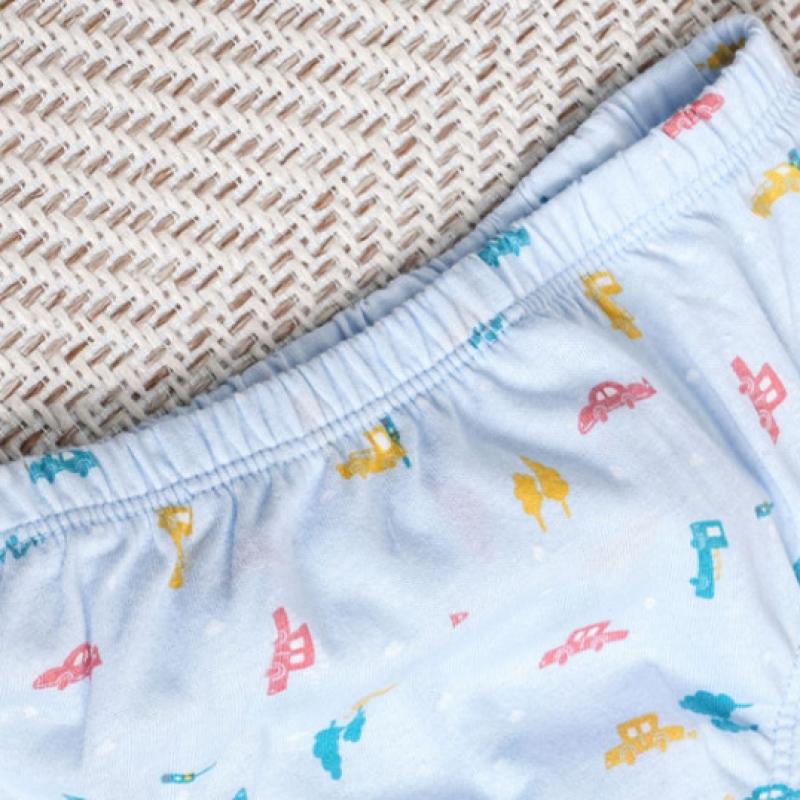 Daiso Boys  Triangle Panties 70