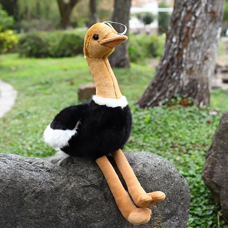 Jucărie de pluș Strut Simulat 1 buc 40cm/50cm Animal Împăiat Realist Perna Moale Pasăre Cadou Drăguț Pentru Copii Fată