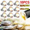1-10 Bucăți 25/50/75W UVA+UVB Bec Lampă Reptile Broască Țestoasă Încălzire Lumini UV Becuri Lumina Încălzire Spectru Complet Lampă Soare pentru Amfibieni