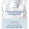 WellDerma Sapphire Low Molecule Collagen Perfect Cleansing Foam