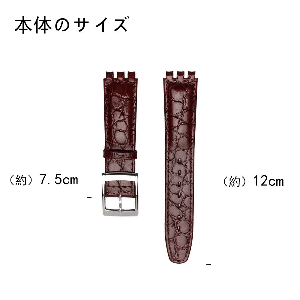 Chocoman Swatch Genuine Leather Watch Waterproof 3 Spring Spring Bar and Strap, 17mm/19mm Band, [Includes Bars, Remover, Box]
