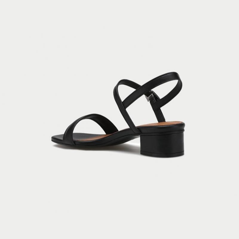 Thommcan Women S Comfort Daily Strap SandalS Black 8tmnc15m1d Nancy 01
