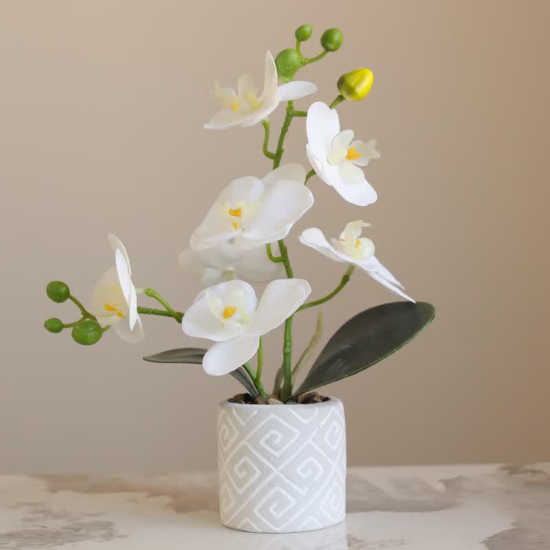 Artificial Phalaenopsis Orchid
