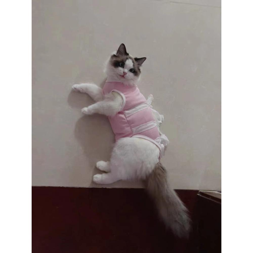 Kombinezon po sterylizacji dla kota psa kotka kotka kombinezon chirurgiczny odstawienie od mleka zapobiegający wypadaniu sierści pooperacyjny zapobiegający lizaniu cienkie ubranka dla zwierząt