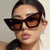 New Vintage Cat Eye Sunglasses Women Men Square PC Frame Retro Shades Fashion Sun Glasses for Female Male