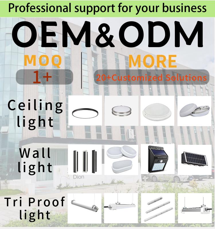 Adjustable 3 CCT 3000K Indoor Ceiling Light with Side Emitting LED Modern Design for Bedroom/Living Room Iron Base