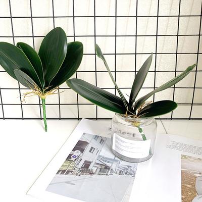 Umělé zelené listy Phalaenopsis Falešné listy orchidejí Stonek Realistický na dotek Zelená rostlina pro Květinové aranžmá Zahrada Bonsaj Dekorace