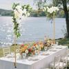 Over the Table Rod Stand with Clamps, Adjustable 71-249 Cm Length & 33-106 Cm Height, Table Arch Stand with Floral Accessories, Gold Balloon Frame for